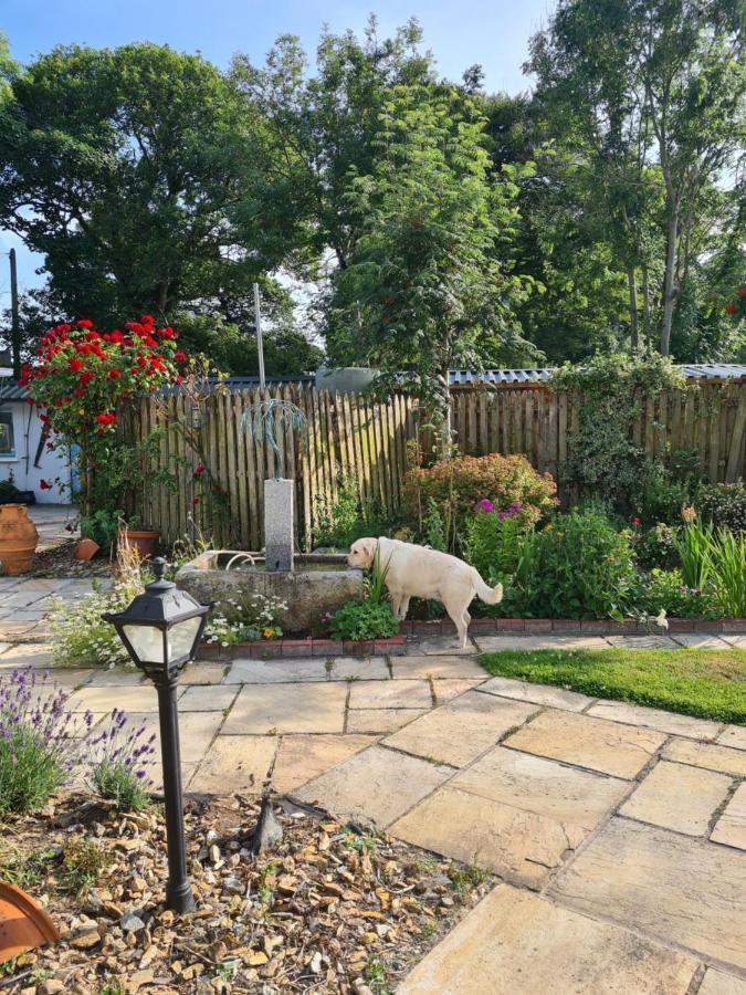 Bed and Breakfast Brookvale Wellingtonbridge Exterior foto