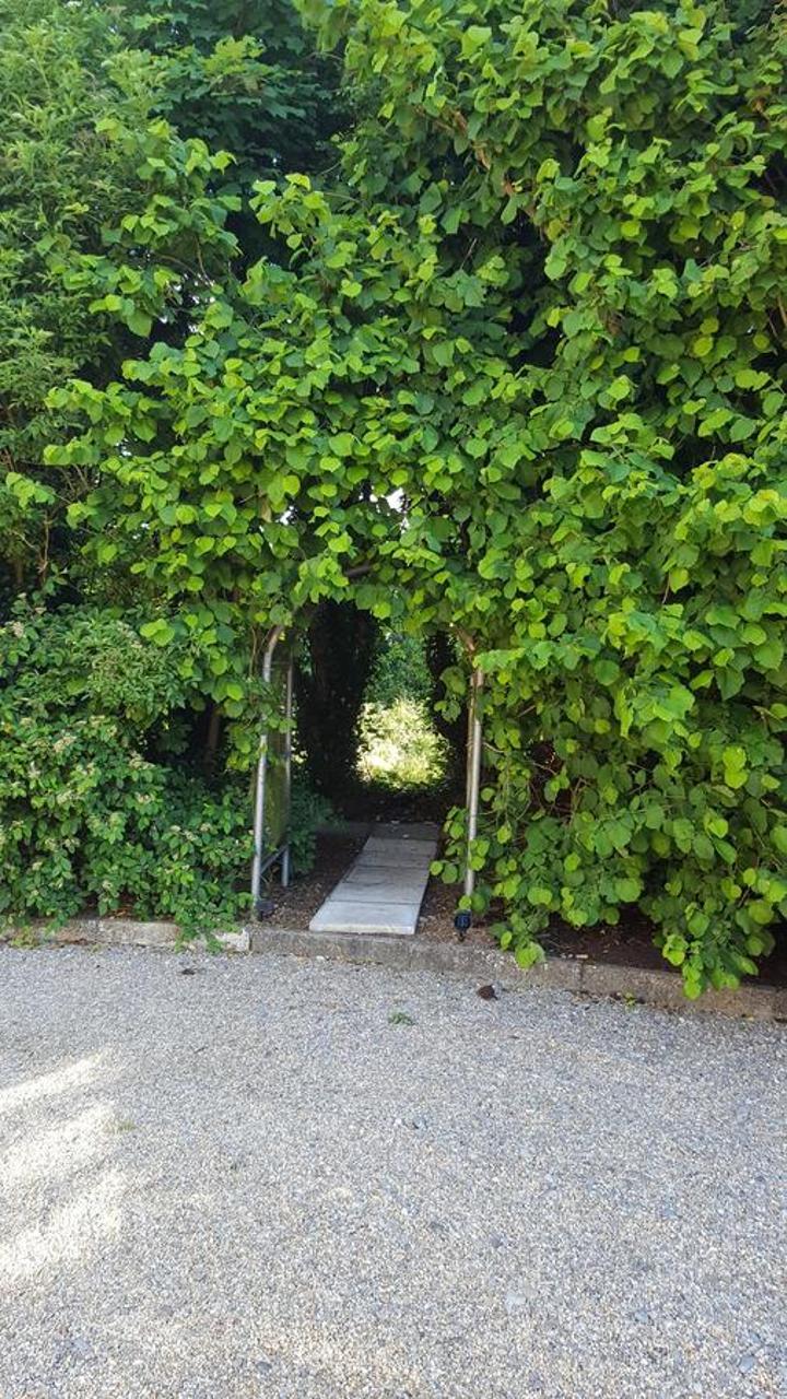Bed and Breakfast Brookvale Wellingtonbridge Exterior foto